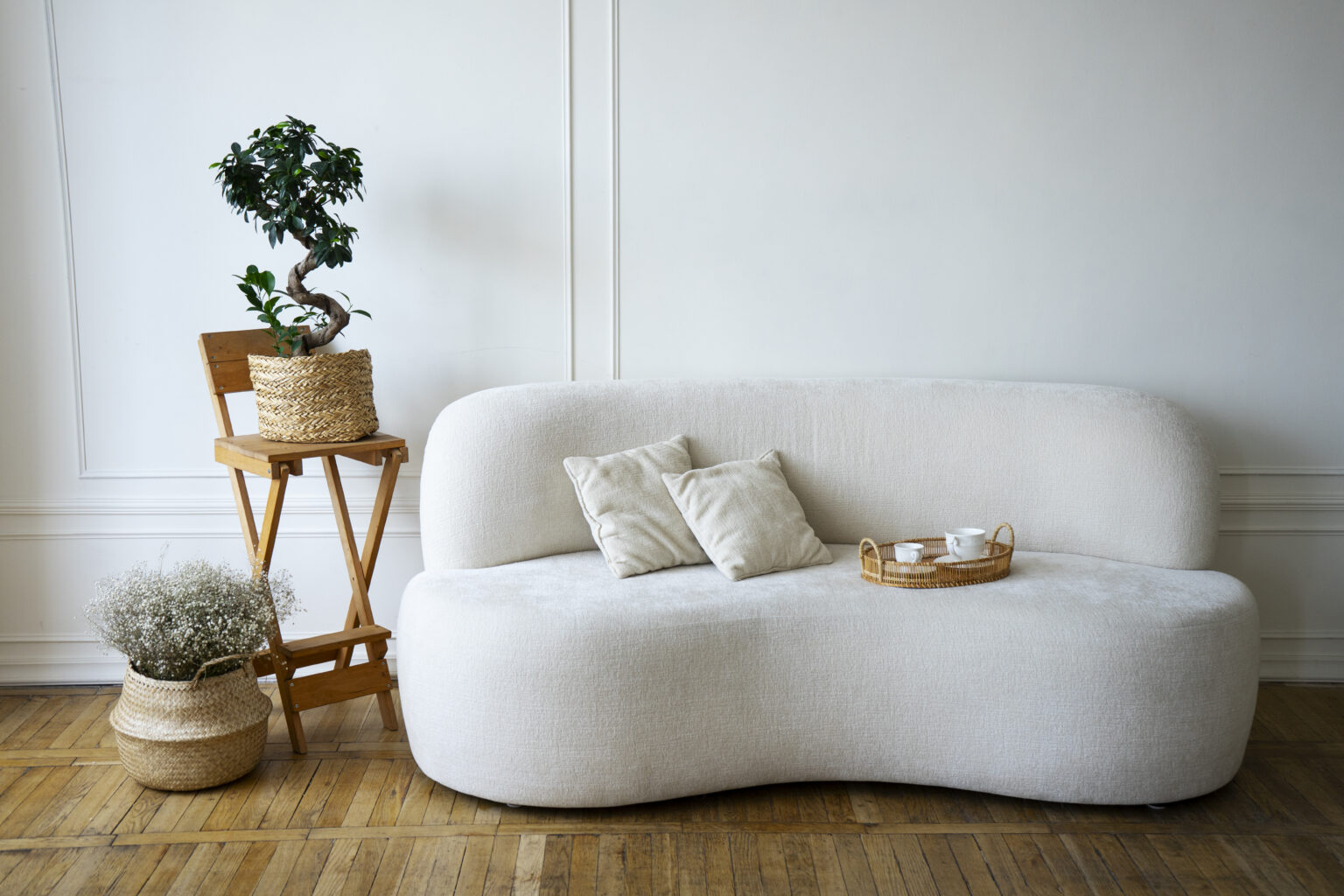 room-decor-with-potted-plants-sofa