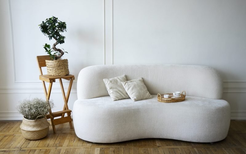 room-decor-with-potted-plants-sofa
